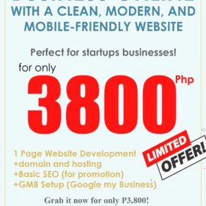 Basic Start-Up Website Development (Landing Page)