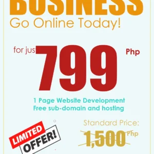 Start-Up Website Development (1-page professional website)