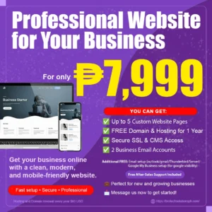 Basic Start-Up Website Development Package